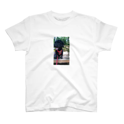 す Regular Fit T-Shirt