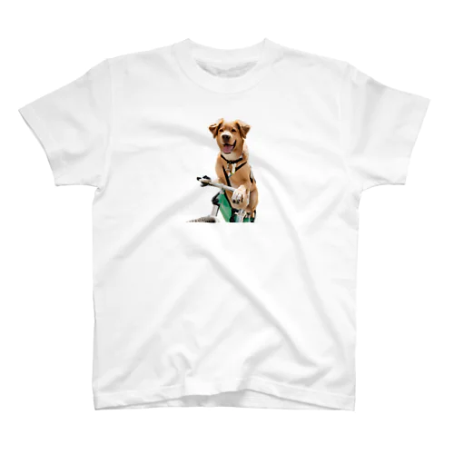 犬 スタンダードTシャツ