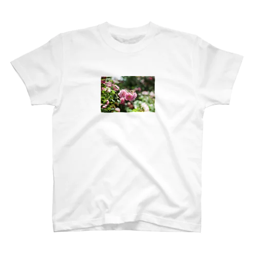 PINK ROSE  Regular Fit T-Shirt