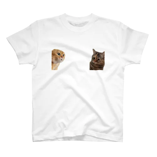 叱られる猫と叱る猫 スタンダードTシャツ