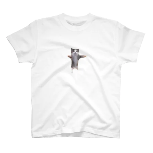 【猫ミーム】Happy Happy Cat Regular Fit T-Shirt
