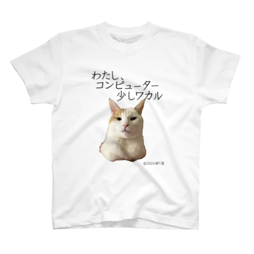 IT系猫 ・わたしコンピューター少しワカル / スタンダードTシャツ スタンダードTシャツ