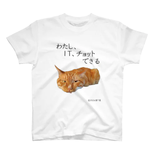 IT系猫 ・わたしITチョットできる / スタンダードTシャツ Regular Fit T-Shirt