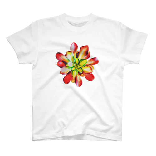 Succulents series アエオニウム スタンダードTシャツ