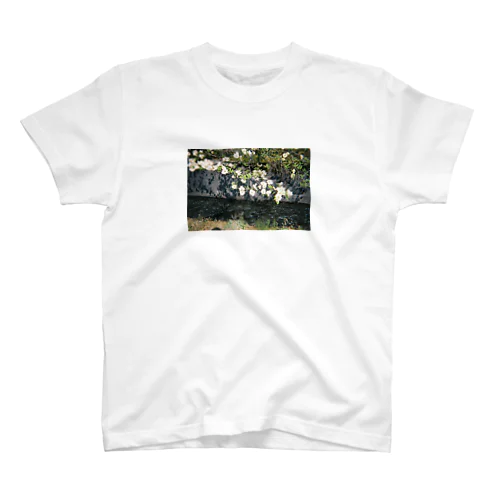 home town 1 スタンダードTシャツ