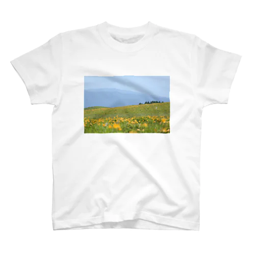 夏の霧ヶ峰 スタンダードTシャツ
