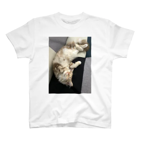 福猫ベルちゃんの開運グッズ スタンダードTシャツ