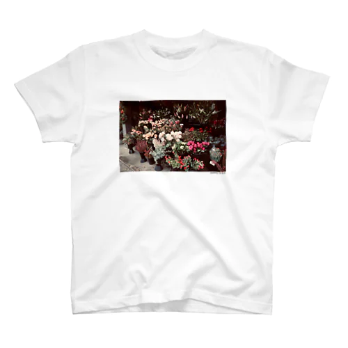 [Seattle d] T.V.I.S スタンダードTシャツ