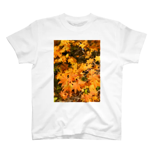 紅葉① スタンダードTシャツ