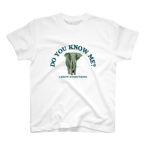 I KNOW EVERYTHING Regular Fit T-Shirt