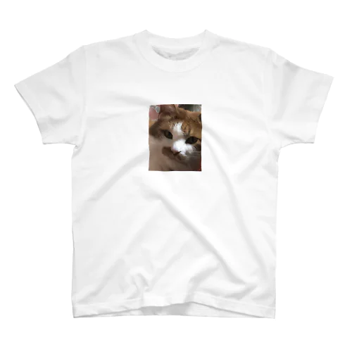 不機嫌な猫 スタンダードTシャツ