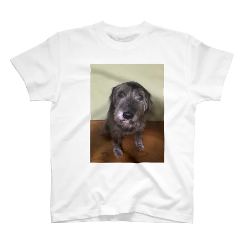 犬のらぶちゃん スタンダードTシャツ