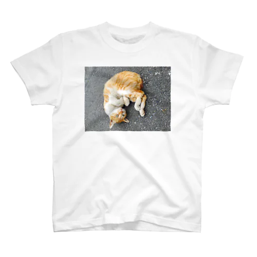 丸まり猫 Regular Fit T-Shirt