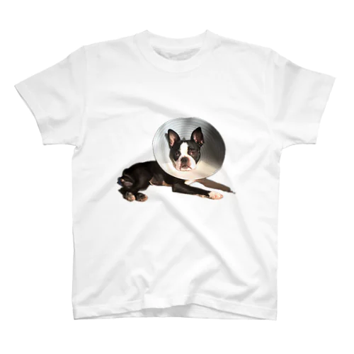 パラボアンテナ犬 Regular Fit T-Shirt