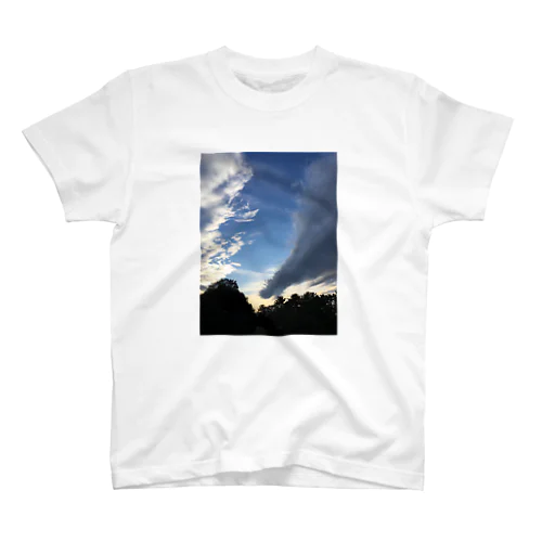 龍雲 スタンダードTシャツ