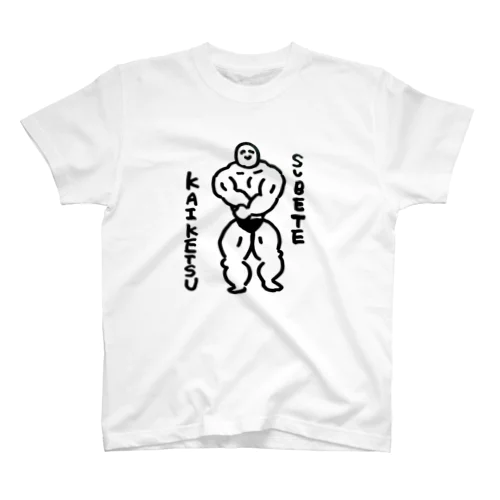 すべて解決 スタンダードTシャツ