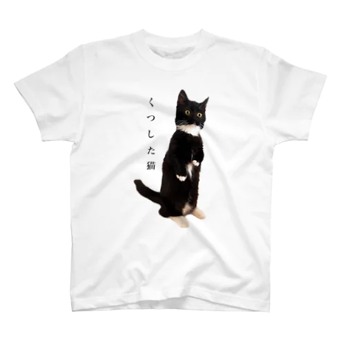 くつした猫 Regular Fit T-Shirt