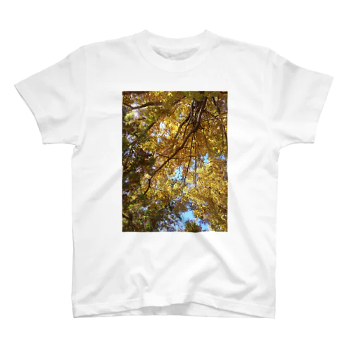 美しい木々 Regular Fit T-Shirt