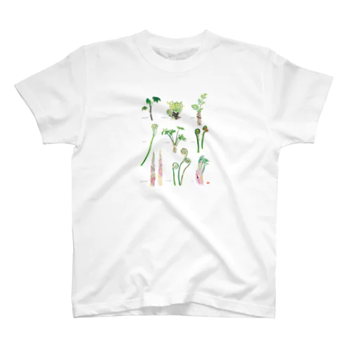 美味しい山菜、木の芽がないけど Regular Fit T-Shirt