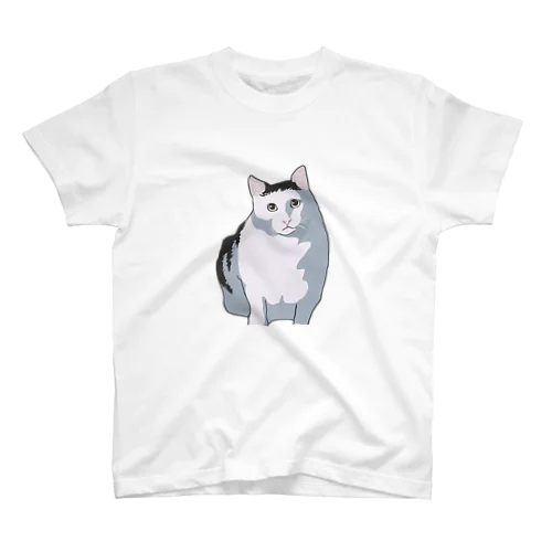 huhcat Regular Fit T-Shirt