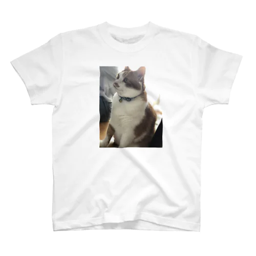 ベロ出し猫ちゃん Regular Fit T-Shirt