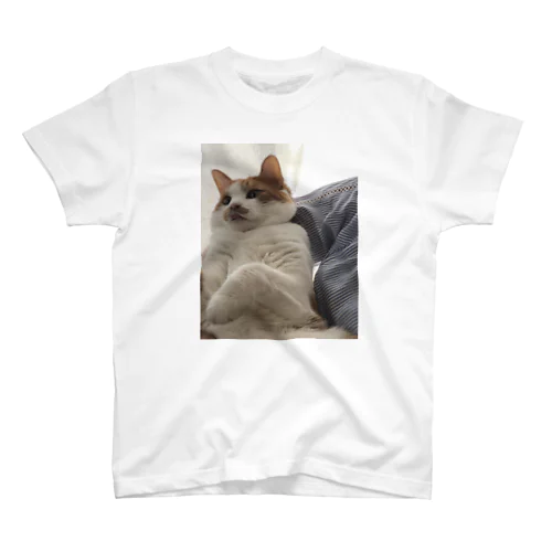 デブ猫赤ちゃん Regular Fit T-Shirt