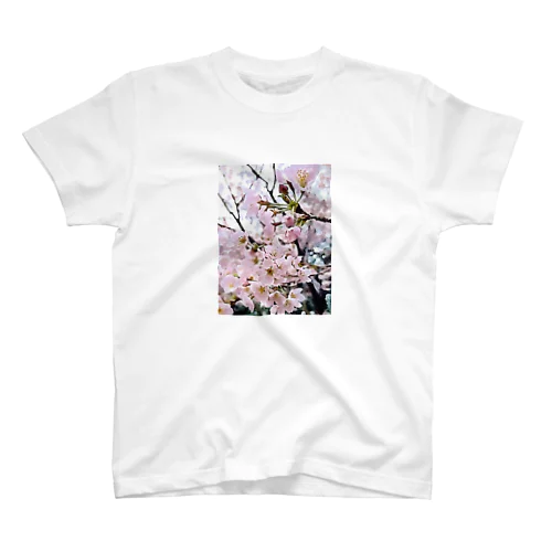 SPRING　 スタンダードTシャツ