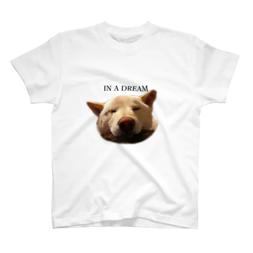 夢の中 Regular Fit T-Shirt
