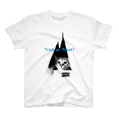 momiji vs shoji Regular Fit T-Shirt