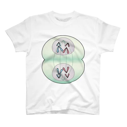 細胞分裂-5 スタンダードTシャツ