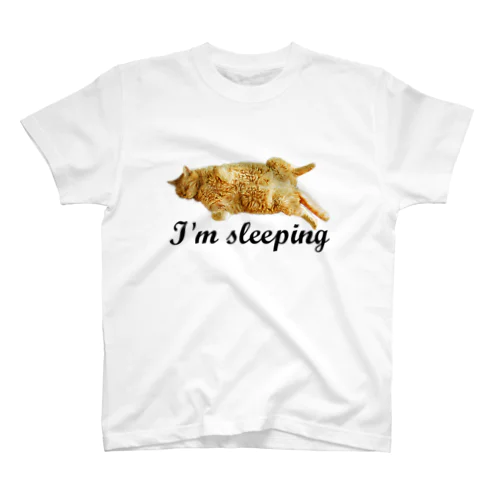 眠った猫グッズ2 スタンダードTシャツ