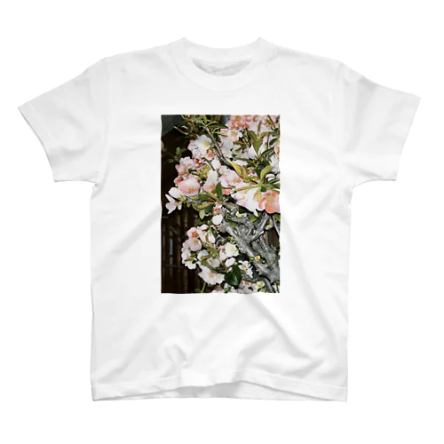 お花のTシャツ スタンダードTシャツ