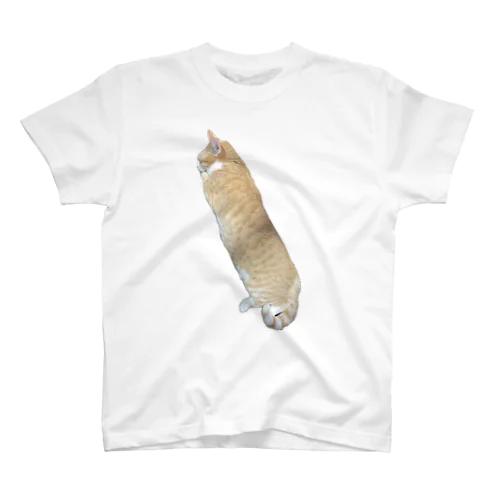 ただただ、長いウチの猫 Regular Fit T-Shirt