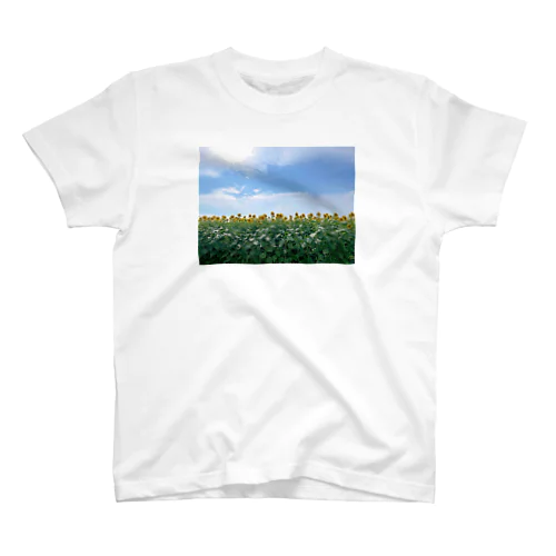 sunflower スタンダードTシャツ