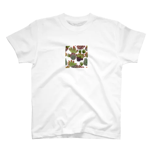 多肉植物のある暮らし2 スタンダードTシャツ