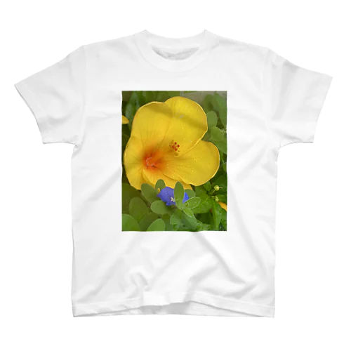 🌼ハイビスカス🌼 スタンダードTシャツ