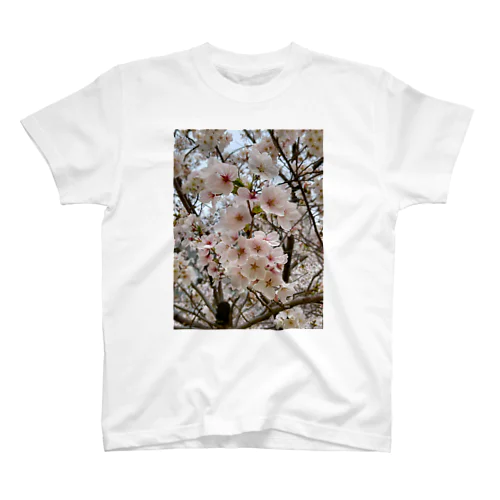 桜 スタンダードTシャツ