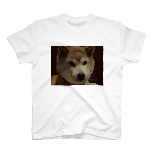 イッヌ🐶 スタンダードTシャツ