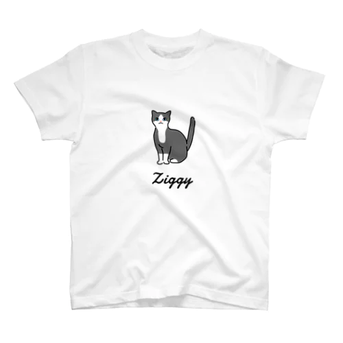 Ziggy スタンダードTシャツ