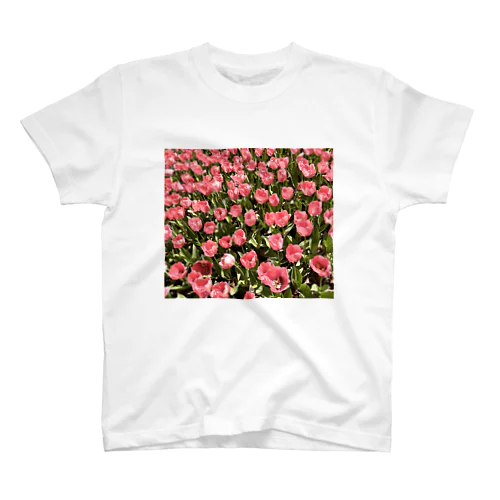 ピンクtulip スタンダードTシャツ