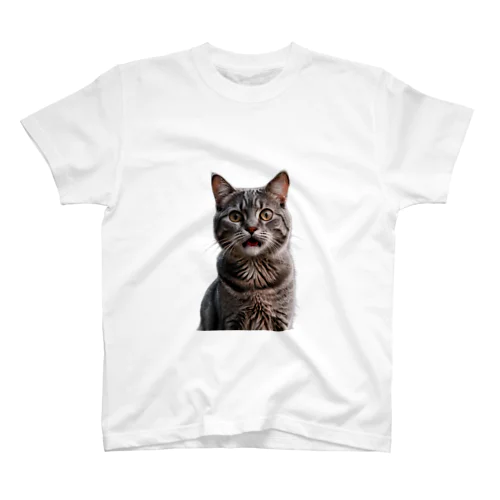 びっくり猫ミーム スタンダードTシャツ