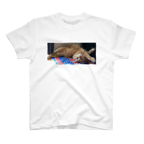 のびーるチビエル Regular Fit T-Shirt