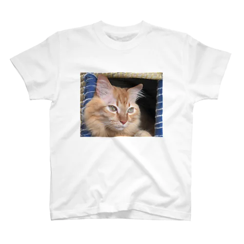 ちぐらでくつろぐチビエル Regular Fit T-Shirt