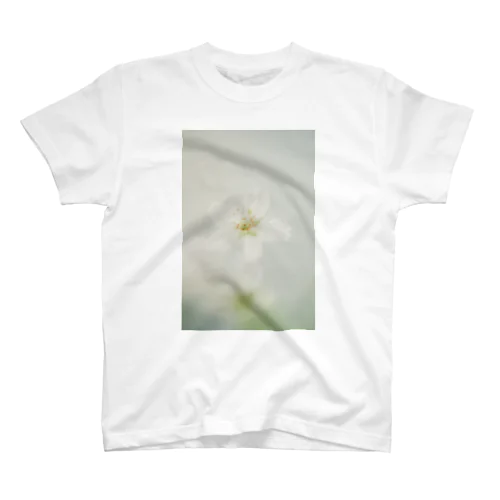 桜Ⅱ スタンダードTシャツ