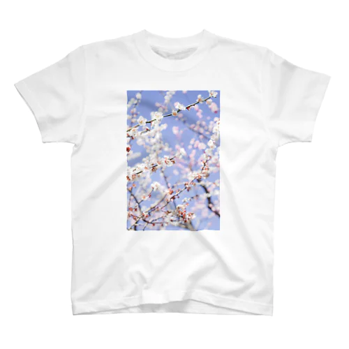 梅の花 スタンダードTシャツ