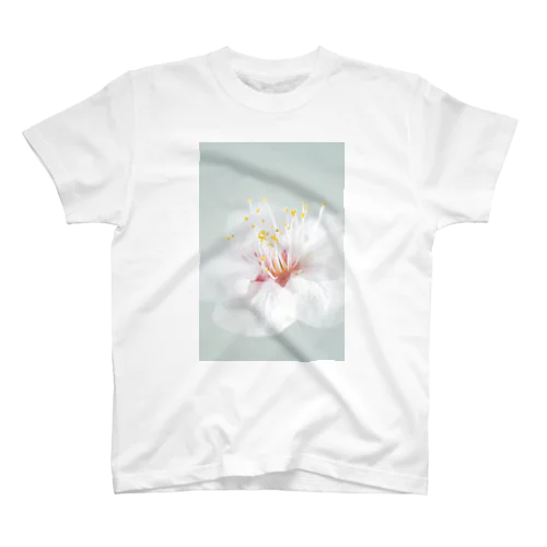 桜Ⅲ Regular Fit T-Shirt