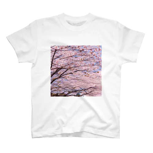 美しき桜 スタンダードTシャツ