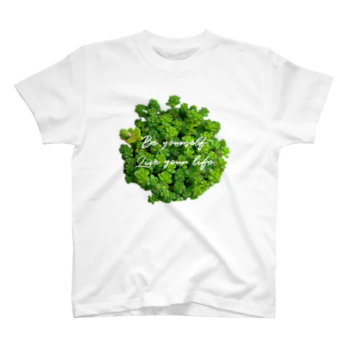 鮮やか多肉植物 スタンダードTシャツ