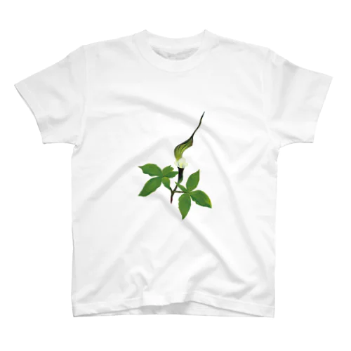 pepe garden【ユキモチソウ】 Regular Fit T-Shirt