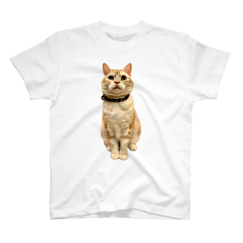 ごはん待ち猫　ココ Regular Fit T-Shirt